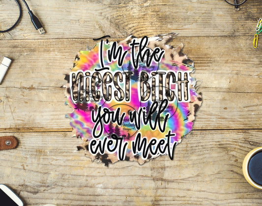 UVDTF I'm The Nicest B*tch You Will Ever Meet Sarcastic