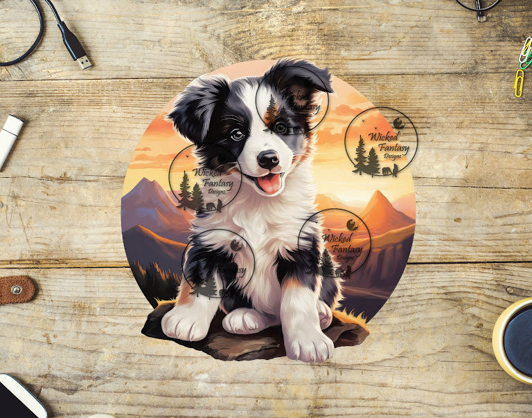 UVDTF Australian Shepherd Puppy at Sunset