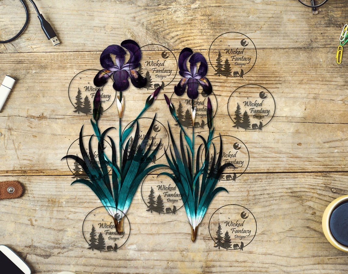 UVDTF Violet and Teal Iris