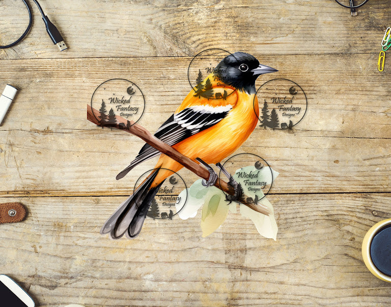 UVDTF Baltimore Oriole Bird on a Branch