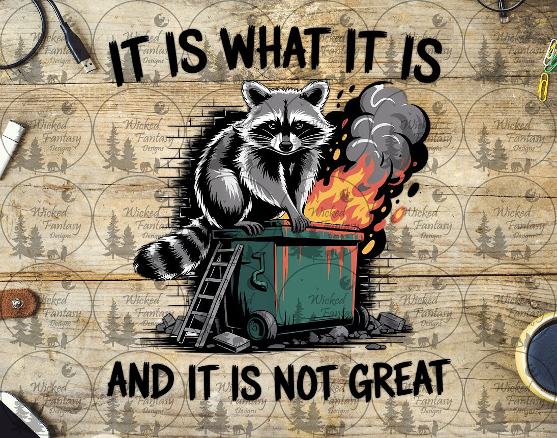 UVDTF It Is What It Is and It Is Not Great Raccoon