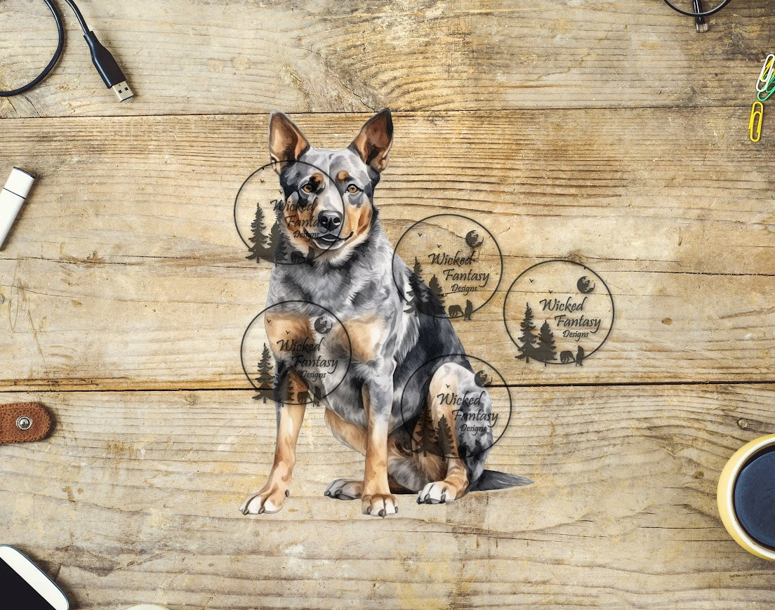 UVDTF Blue Heeler Dog Sitting