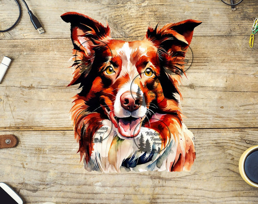 UVDTF Border Collie