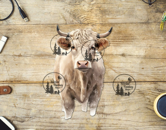UVDTF Charolais Cow with Horns