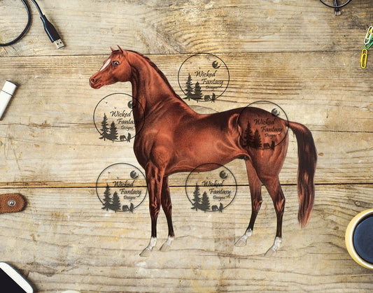 UVDTF Vintage Style Illustrated Horse