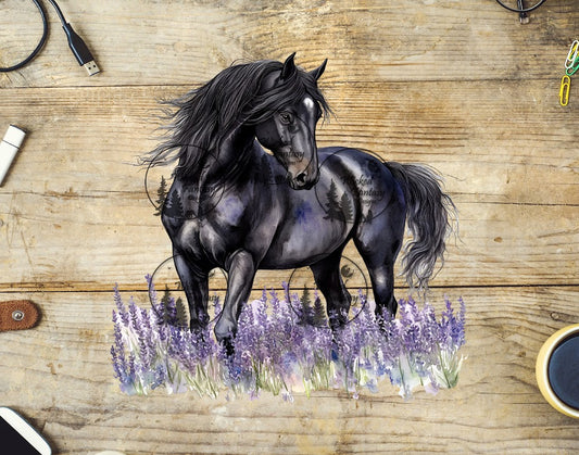 UVDTF Black Horse in Lavender Field