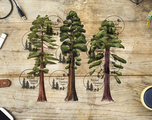 UVDTF Redwood Trees