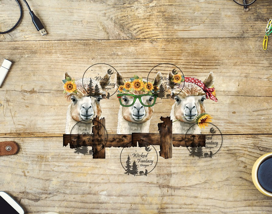 UVDTF Llamas on the Fence Line