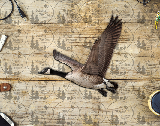 UVDTF Canadian Goose