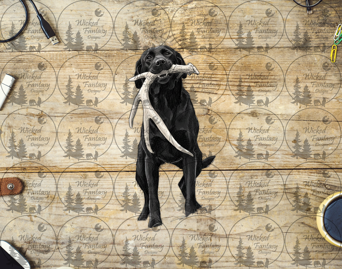 UVDTF Black Lab with Shed Antler