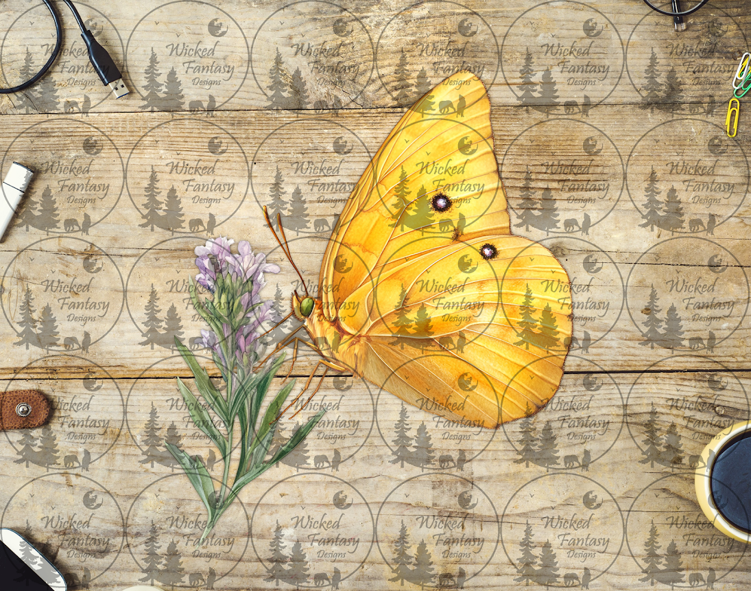 UVDTF Yellow Butterfly