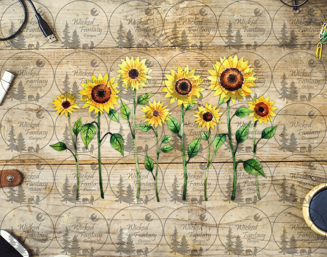 UVDTF Sparse Row of Sunflowers