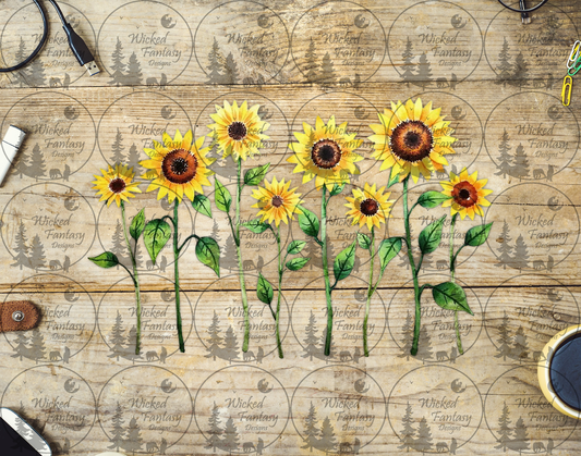 UVDTF Sparse Row of Sunflowers