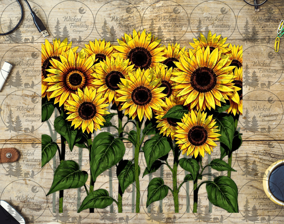 UVDTF Group of Sunflowers