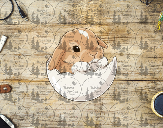 UVDTF Baby Bunny in Egg Shell